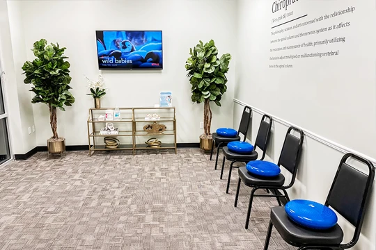 Chiropractic Panama City FL Wobble Chairs